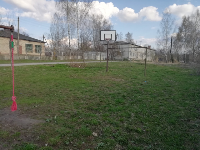 Обустройство спортивной площадки в п. Старое Ханино, ул. Совхозная в Суворовском районе
