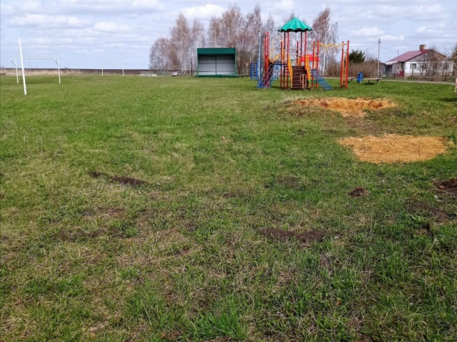 Обустройство спортивной площадки в селе Царёво Щёкинского района
