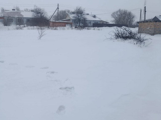 Обустройство детской игровой площадки по адресу: Воловский район, д. Красавка