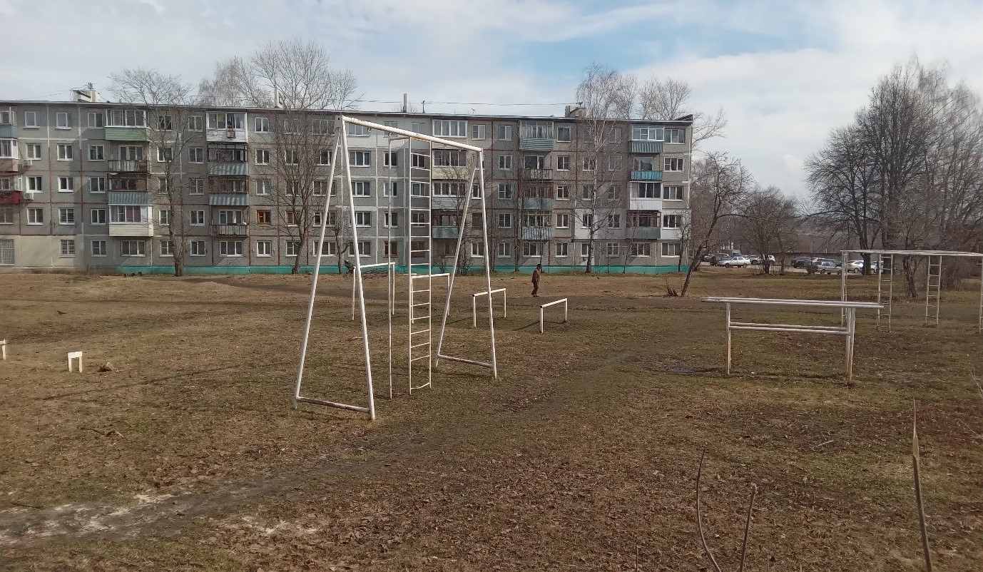 Обустройство спортивной площадки "На шаг ближе к здоровому образу жизни" по адресу: Киреевский район, п. Шварцевский, ул. Менделеева, в районе дома №2