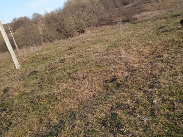 Обустройство зоны для досуга и отдыха по адресу: Каменский район, с. Долгие Лески, напротив дома №1А