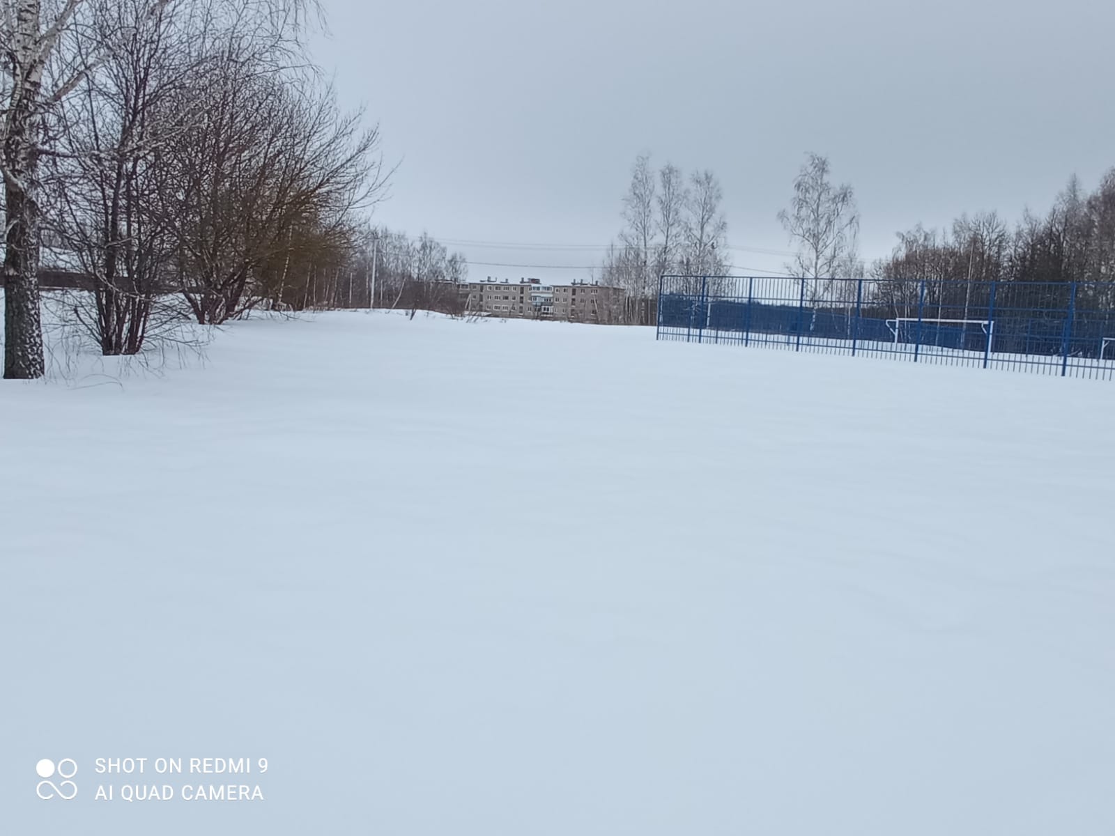 Обустройство спортивной площадки по адресу: Щекинский район, поселок Головеньковский, около футбольного поля