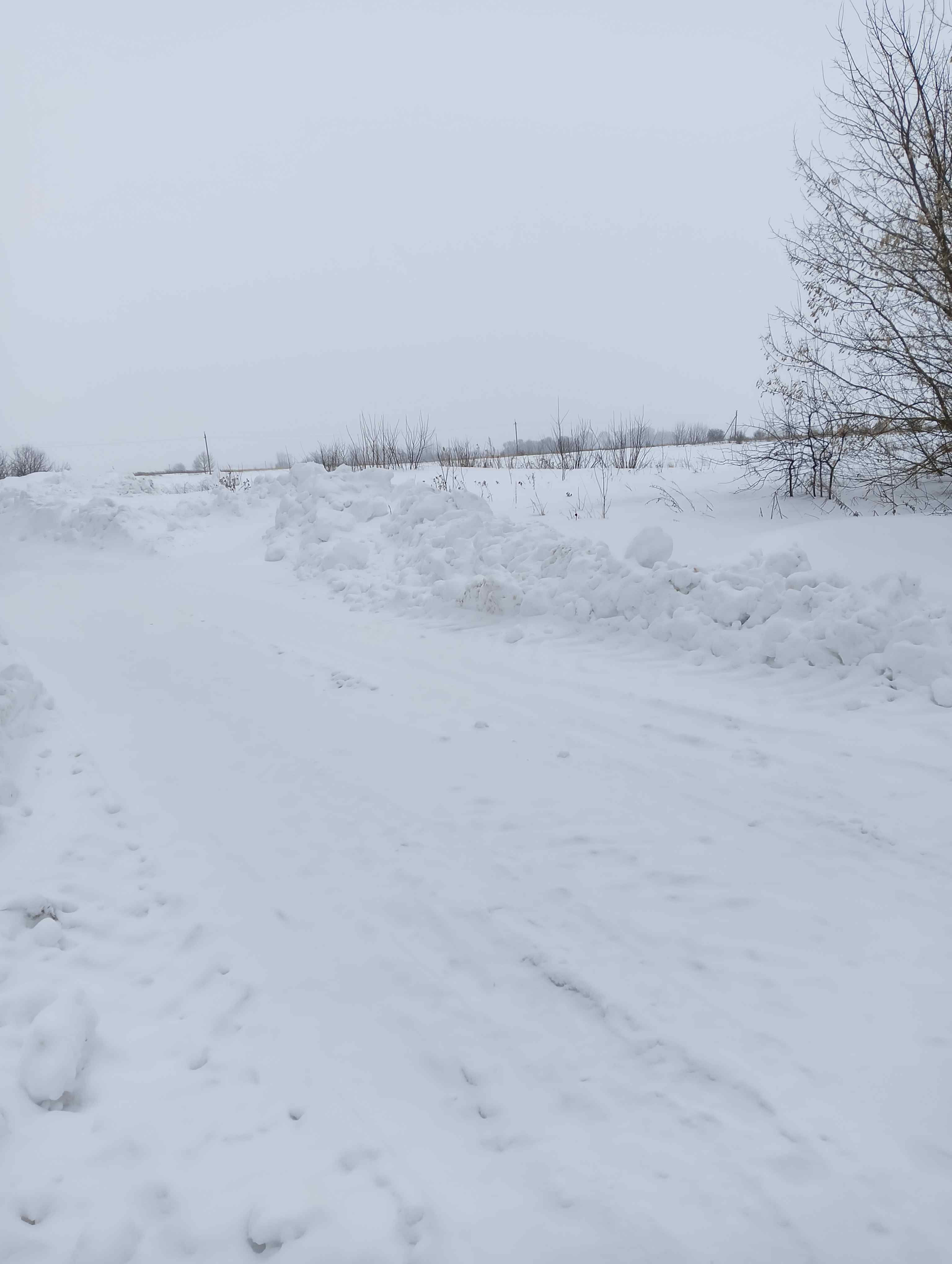 Обустройство спортивной площадки по адресу: Тепло-Огаревский район, п. Красногвардеец, ул. Школьная, напротив дома №1