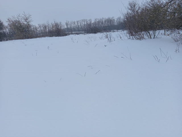 Обустройство спортивной площадки по адресу: Воловский район, п.Садовый