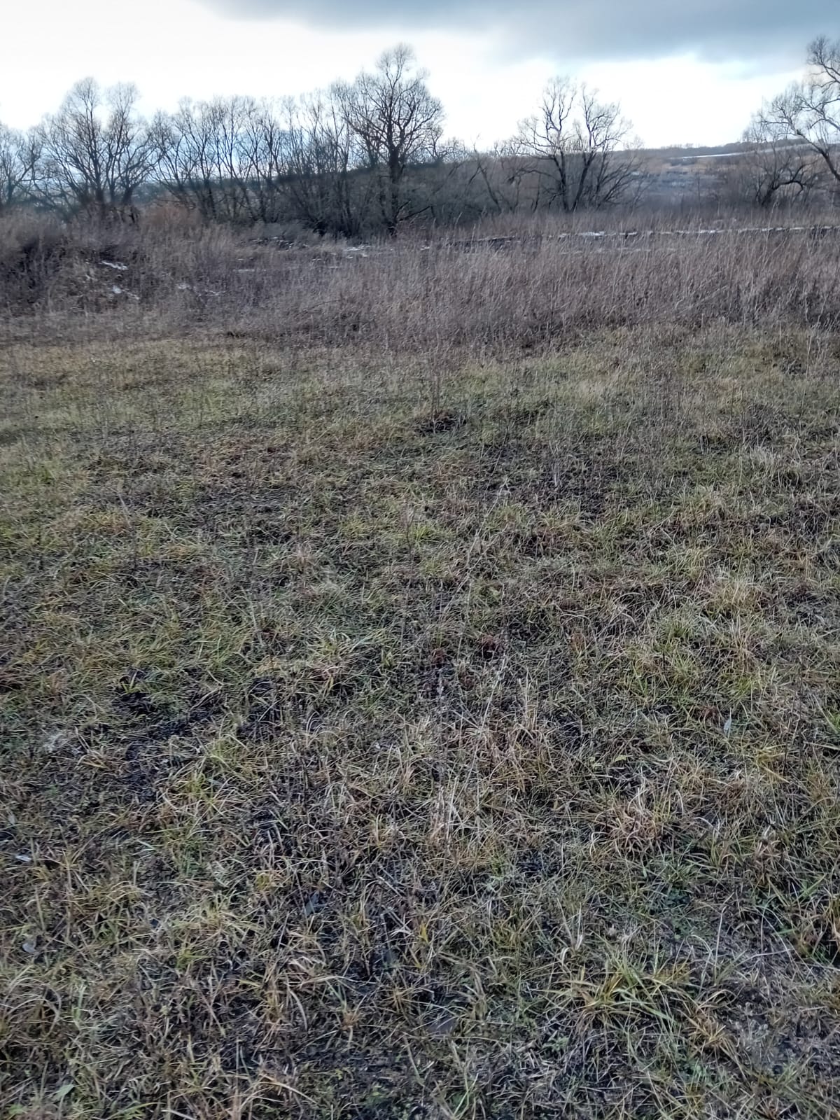 Обустройство детской игровой площадки по адресу: Тульская область, Щекинский район,с.Пирогово 1-е, напротив дома №82