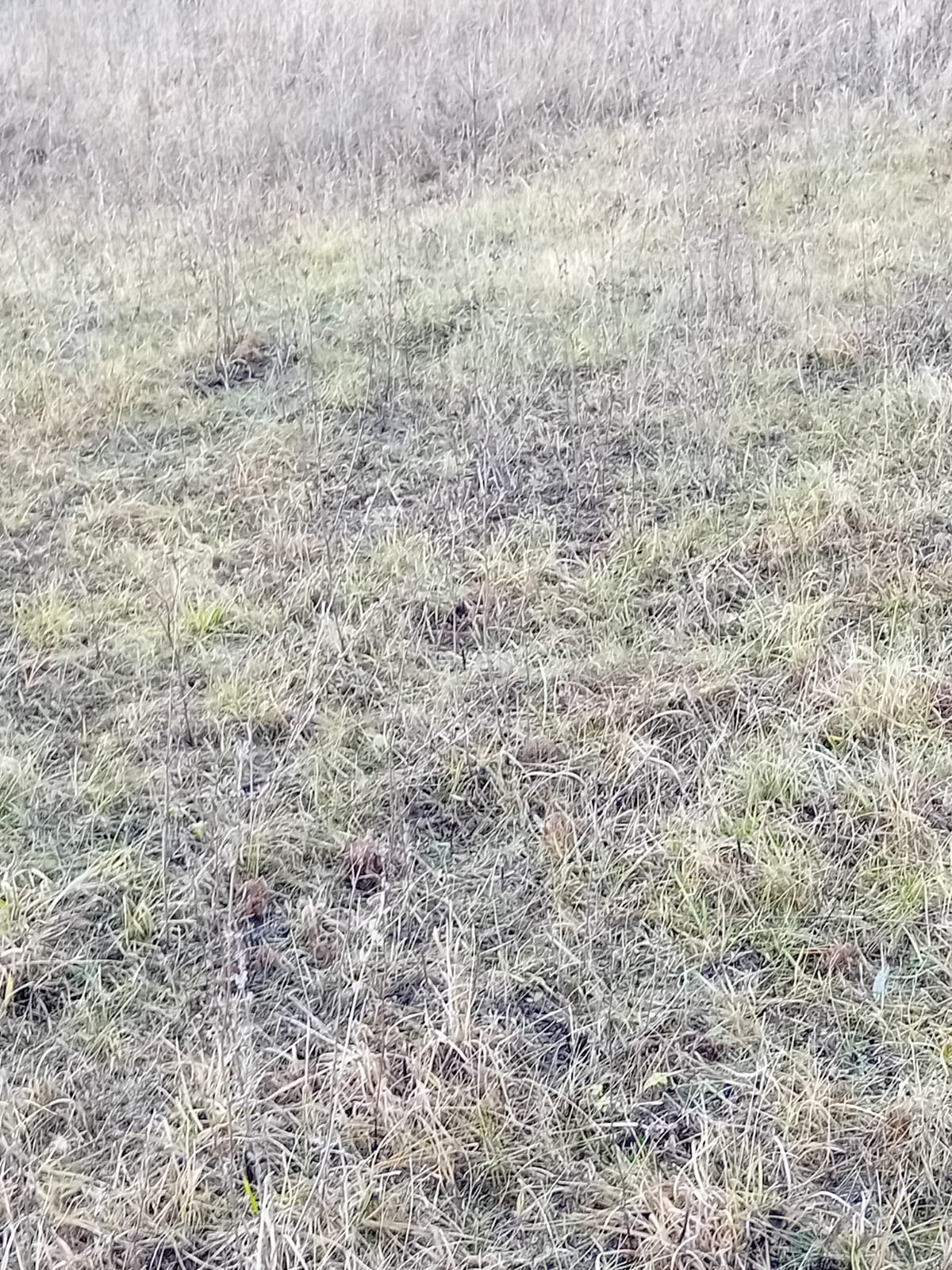 Обустройство детской игровой площадки по адресу: Тульская область, Щекинский район,с.Пирогово 1-е, напротив дома №82