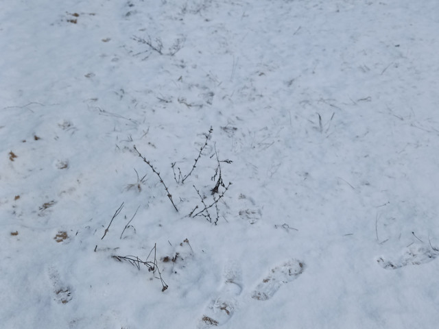 Обустройство детской площадки "Планета Детства", по адресу: Ленинский район, деревня Варваровка, дом 20