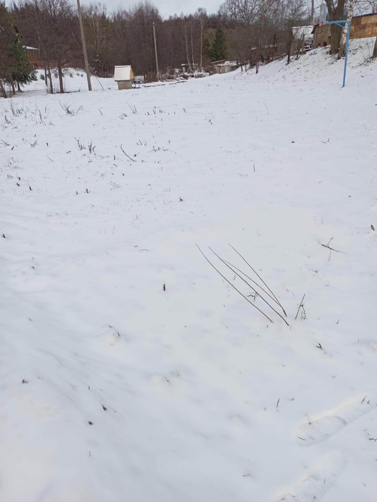 Обустройство зоны досуга и отдыха по адресу: Алексинский район, д. Иньшино, ул.Центральная (около дома №7)