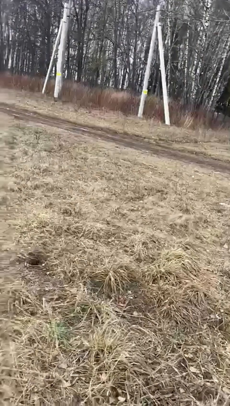 Обустройство спортивной площадки по адресу:  Щекинский район, с.Карамышево, ул.Новая, напротив дома №62