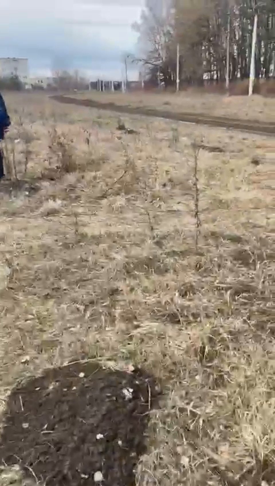 Обустройство спортивной площадки по адресу:  Щекинский район, с.Карамышево, ул.Новая, напротив дома №62