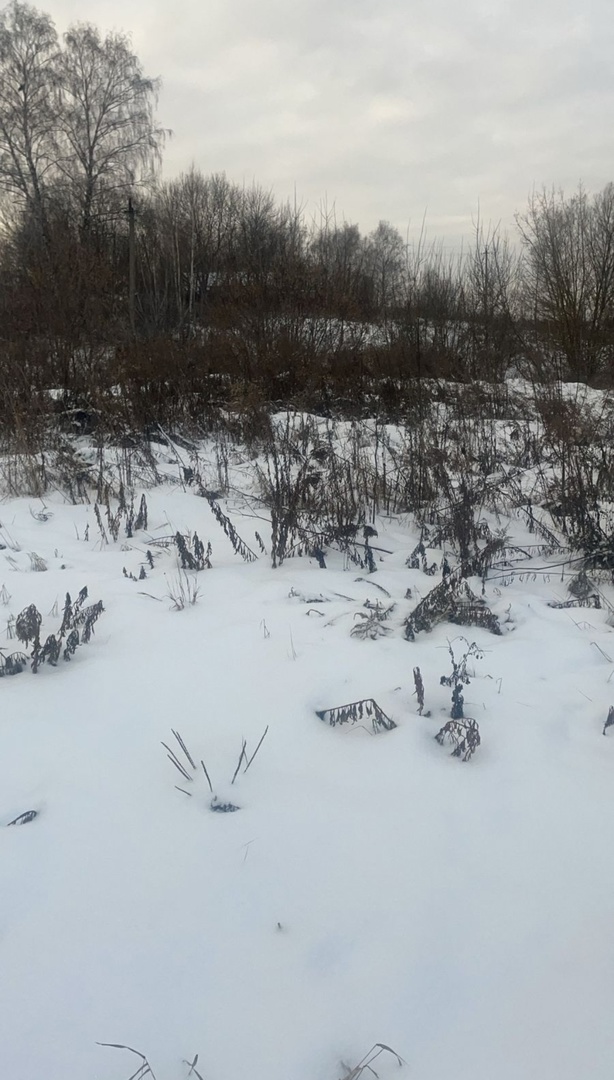 Обустройство спортивной площадки по адресу: Щекинский район, деревня Большие Озерки, вблизи дома № 23