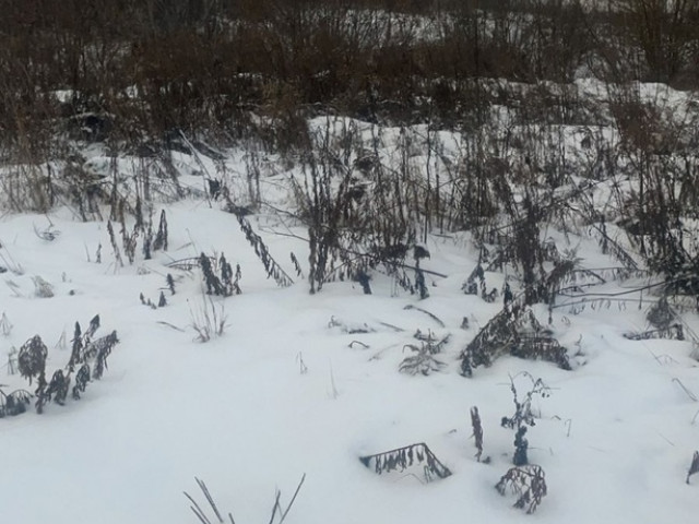 Обустройство спортивной площадки по адресу: Щекинский район, деревня Большие Озерки, вблизи дома № 23