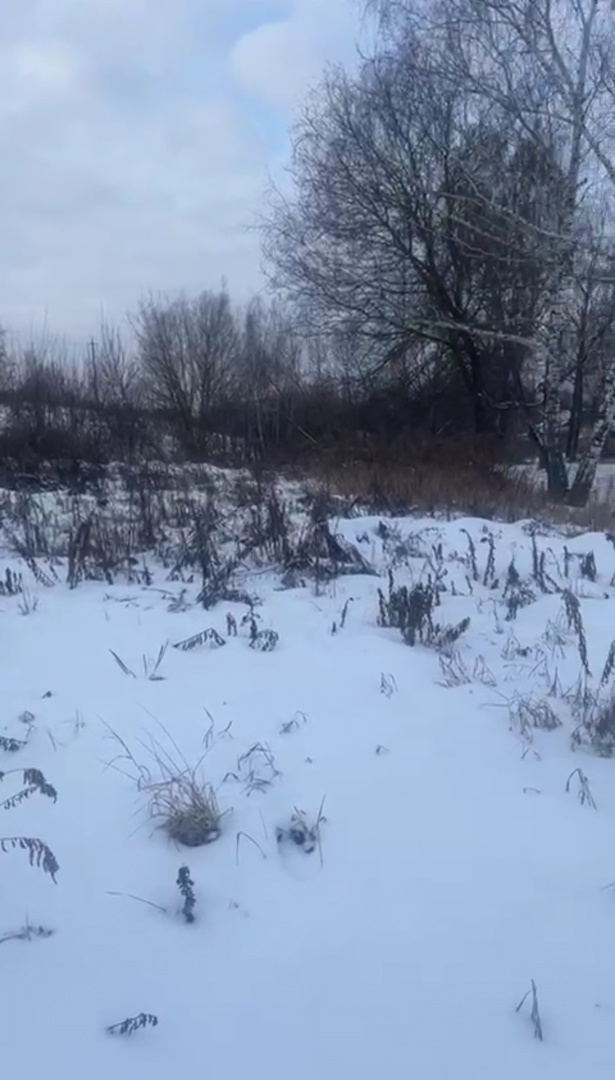 Обустройство спортивной площадки по адресу: Щекинский район, деревня Большие Озерки, вблизи дома № 23