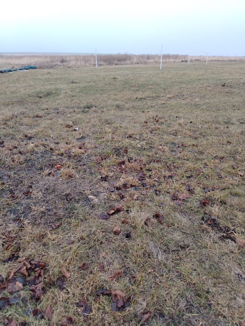 Обустройство спортивной площадки по адресу: Щекинский район, село Царево, напротив дома № 74