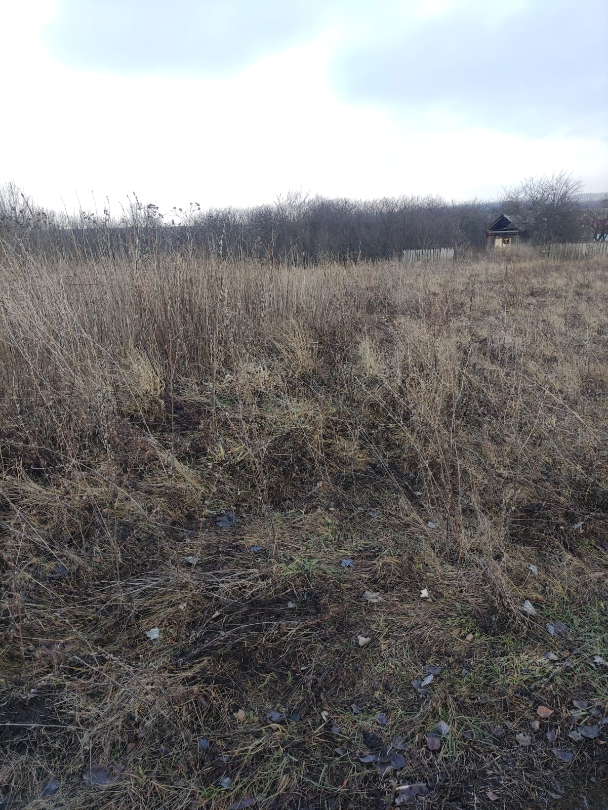 Обустройство спортивной площадки по адресу: Кимовский район, деревня Муравлянка