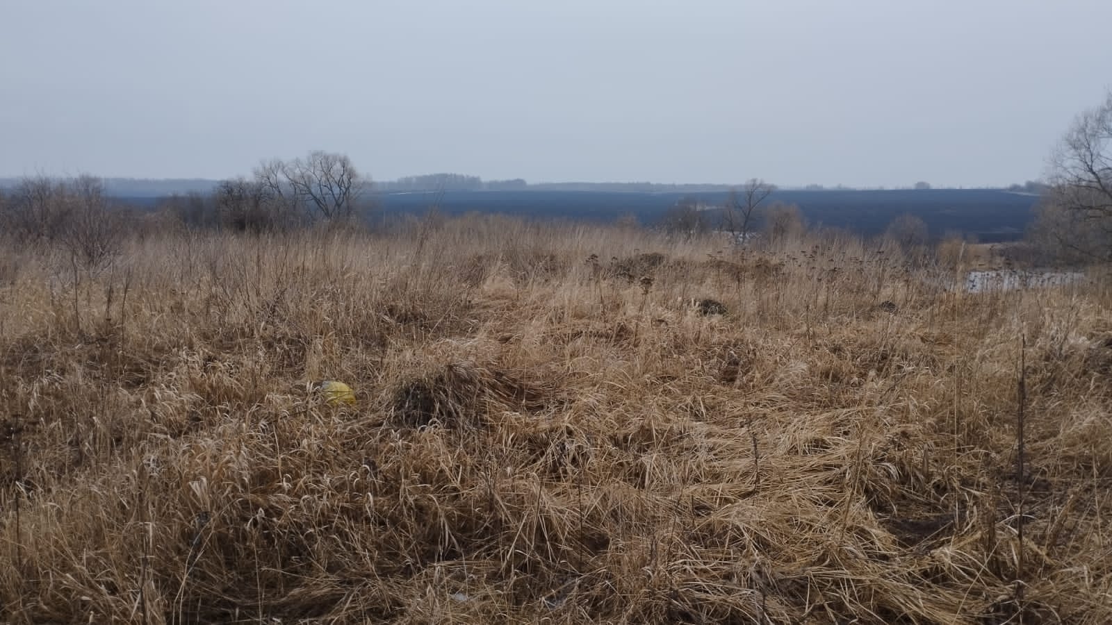 Обустройство детской площадки по адресу: Веневский район, д.Торбеевка, ул.Луговая, вблизи д.36.