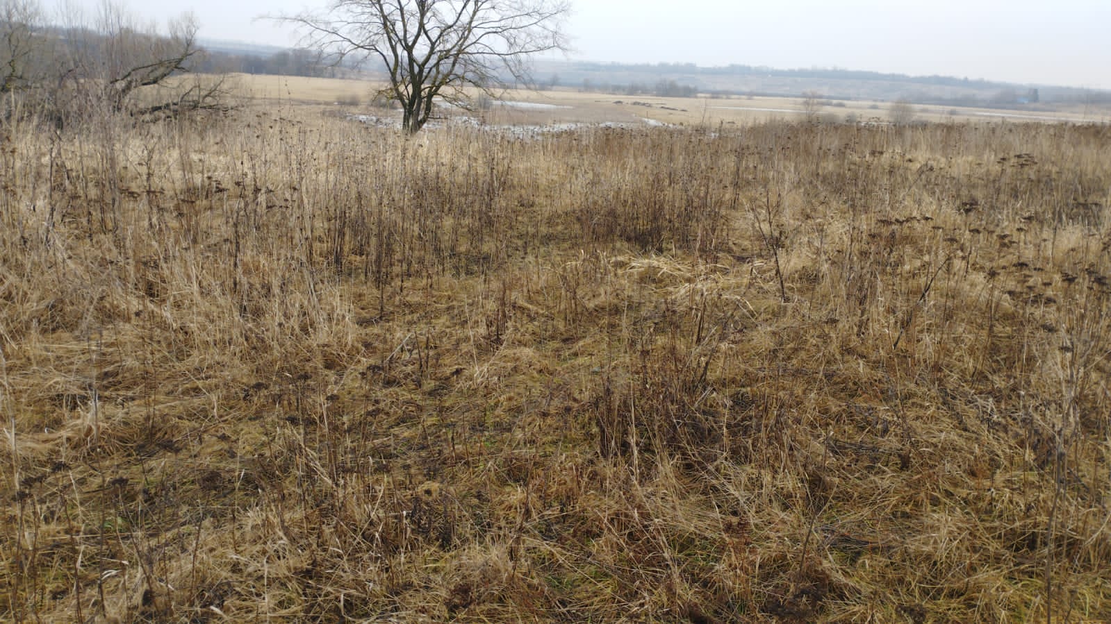 Обустройство детской площадки по адресу: Веневский район, д.Торбеевка, ул.Луговая, вблизи д.36.