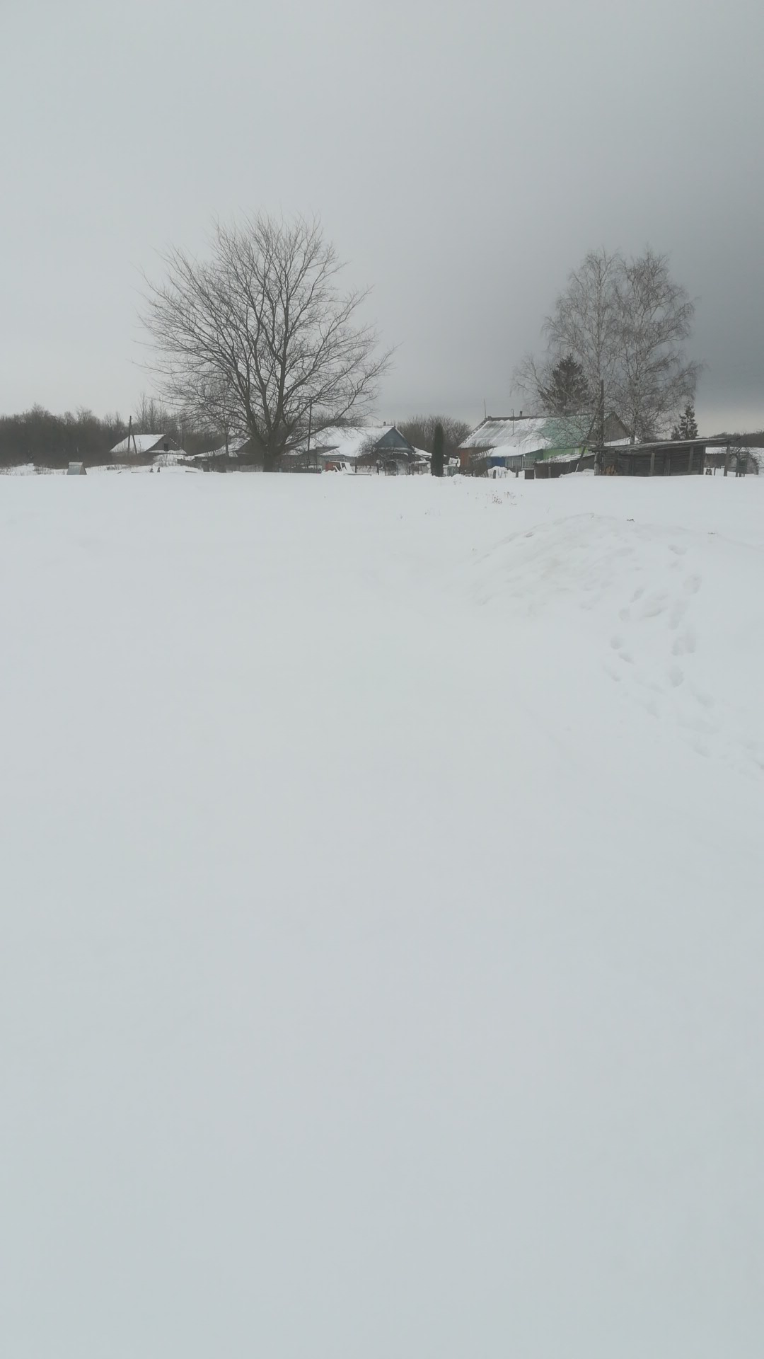 Обустройство детской площадки по адресу: Веневский район, д.Карники, ул.Мира вблизи д.5.