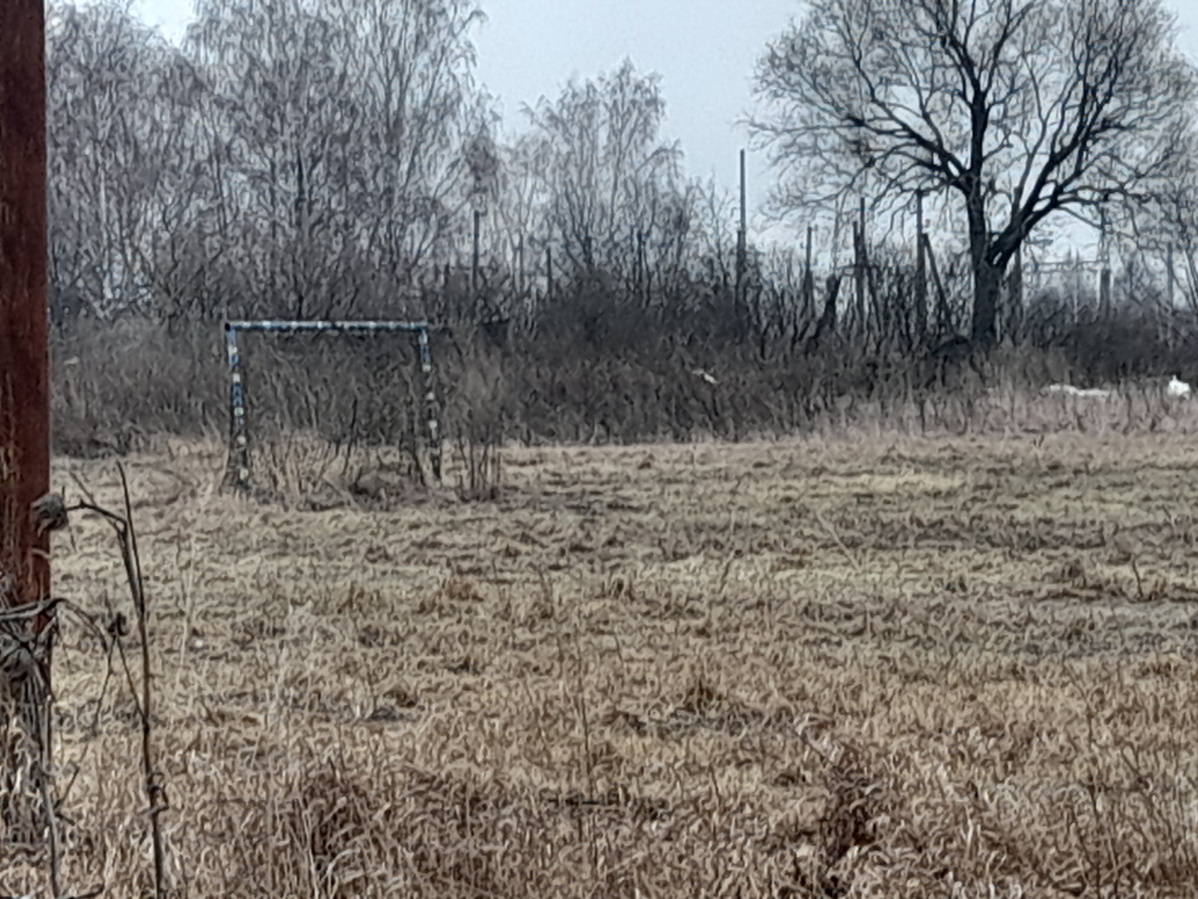 Обустройство многофункциональной площадки по адресу: Куркинский р-н, деревня Ивановка, ул Дмитрия Донского, дом 10