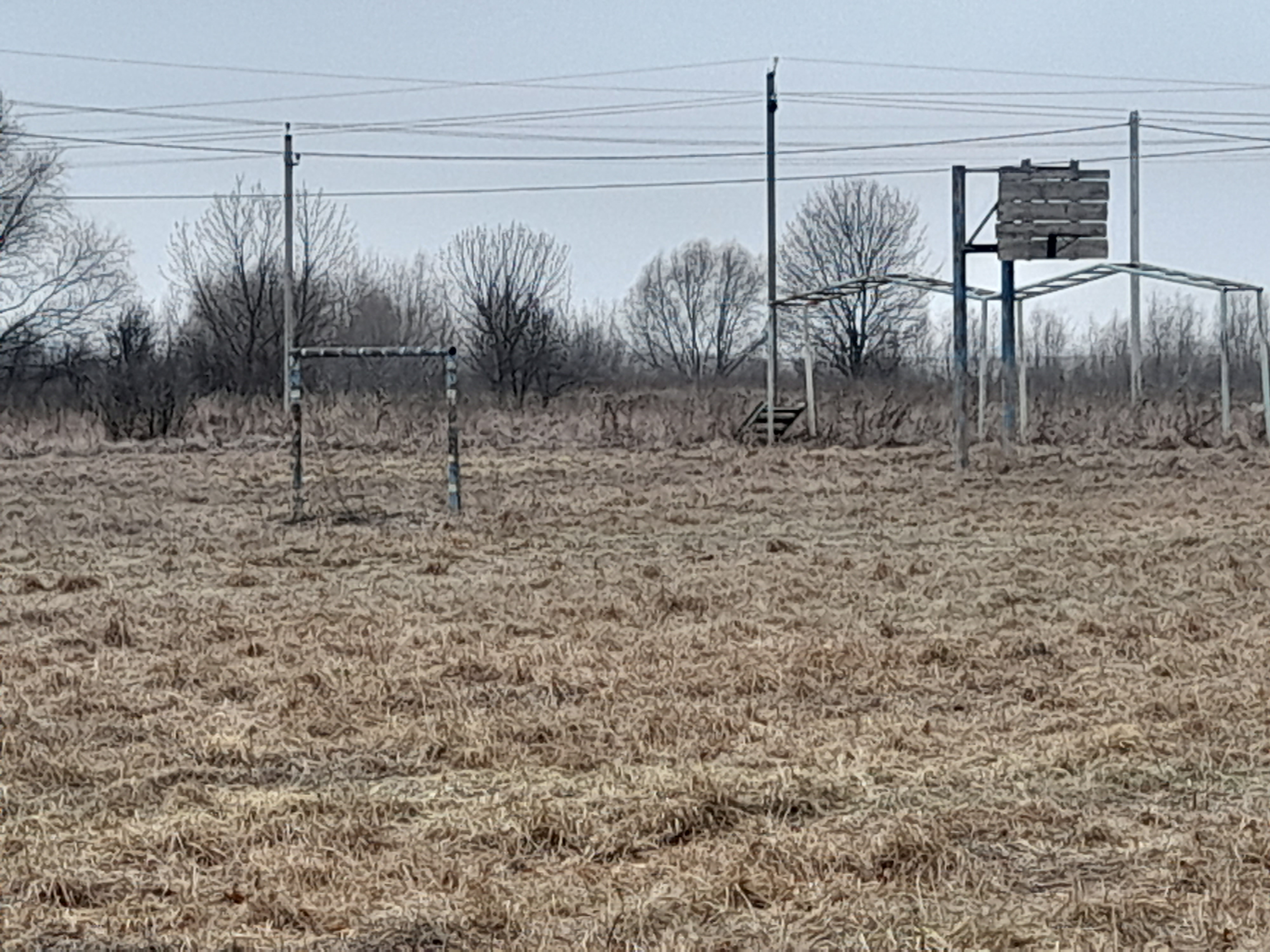 Обустройство многофункциональной площадки по адресу: Куркинский р-н, деревня Ивановка, ул Дмитрия Донского, дом 10