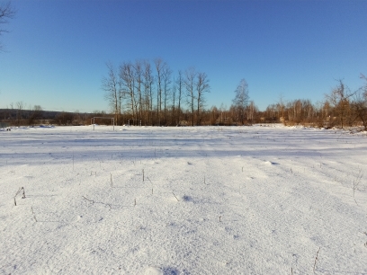 Обустройство спортивной площадки по адресу: Белёвский район, поселок Ровно, улица Центральная д. 15