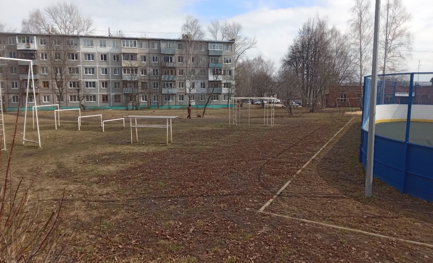 Обустройство спортивной площадки  "Здоровая нация" по адресу: Киреевский район, п.Шварцевский в районе улицы Менделеева д.2