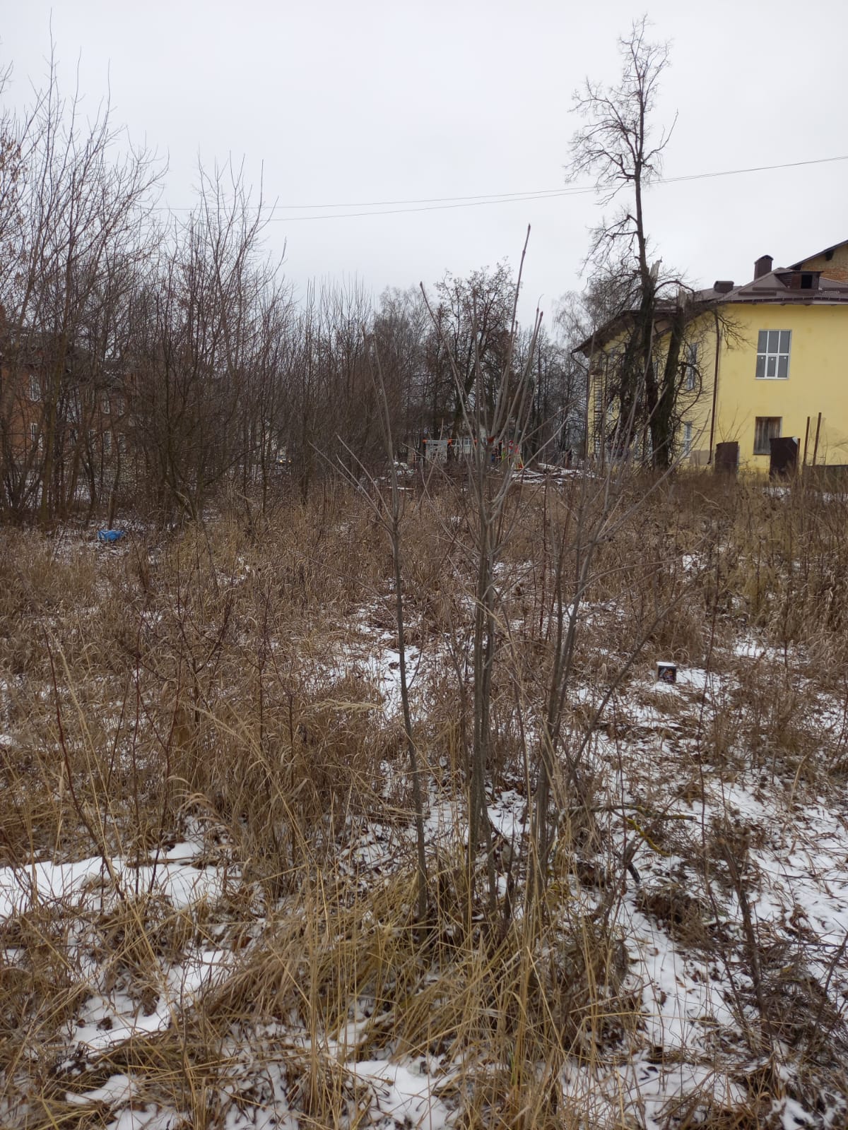 Обустройство многофункциональной площадки по адресу: Узловский район, п. Каменецкий, ул.Клубная