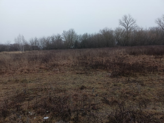 Обустройство спортивной площадки (воркаут и тренажеры) по адресу: Богородицкий район, пос. Товарковский, ул. Трудовая, территория за д.84 В