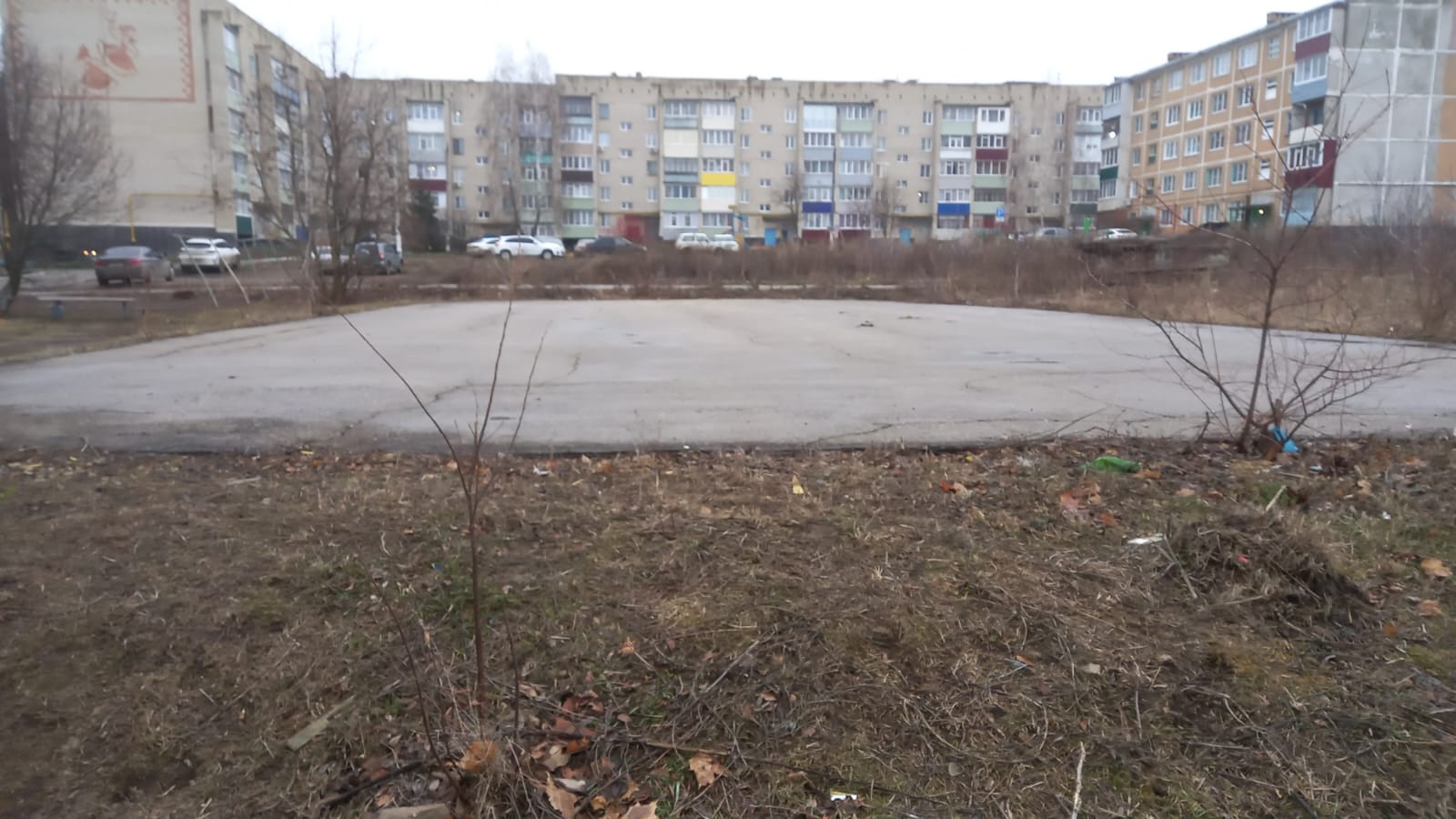 Обустройство спортивной площадки по адресу: г. Ефремов, ул. Молодежная, д.7