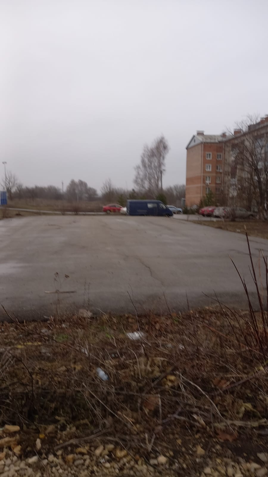 Обустройство спортивной площадки по адресу: г. Ефремов, ул. Молодежная, д.7