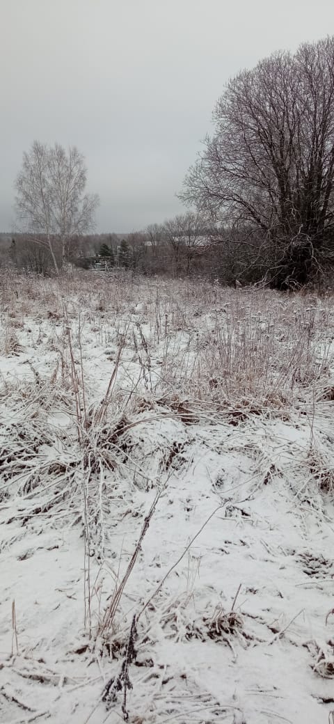 Обустройство спортивной площадки по адресу: Алексинский район, с. Сотино, напротив домов №21 и №23.