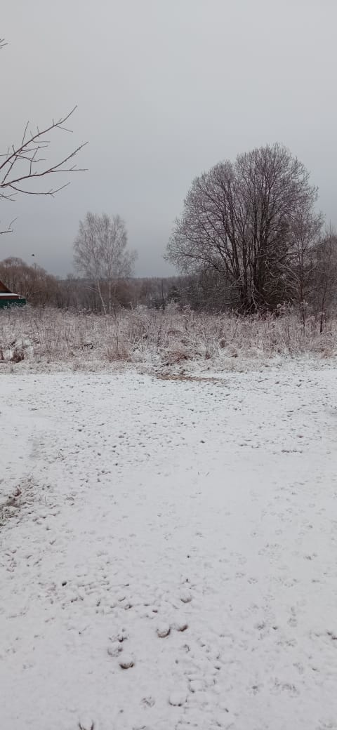 Обустройство спортивной площадки по адресу: Алексинский район, с. Сотино, напротив домов №21 и №23.