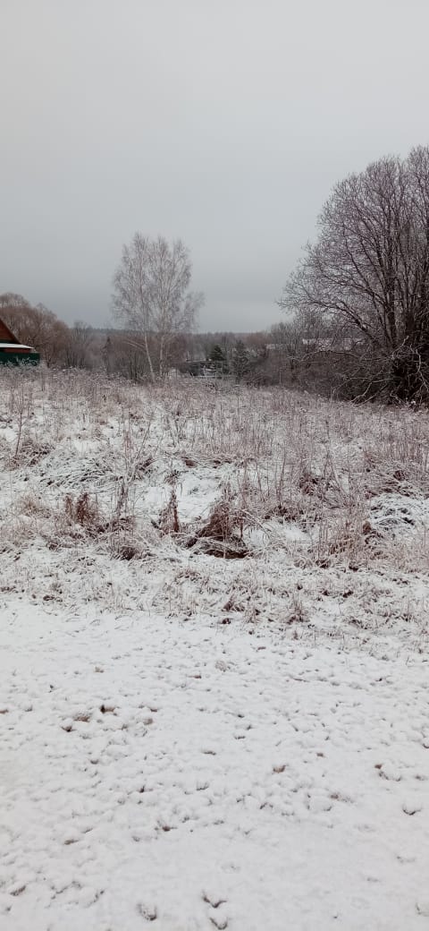 Обустройство спортивной площадки по адресу: Алексинский район, с. Сотино, напротив домов №21 и №23.