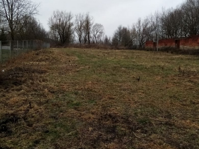 Обустройство многофункциональной площадки по  адресу: Алексинский район, пос. Мичурина, ул. Центральная, д.2