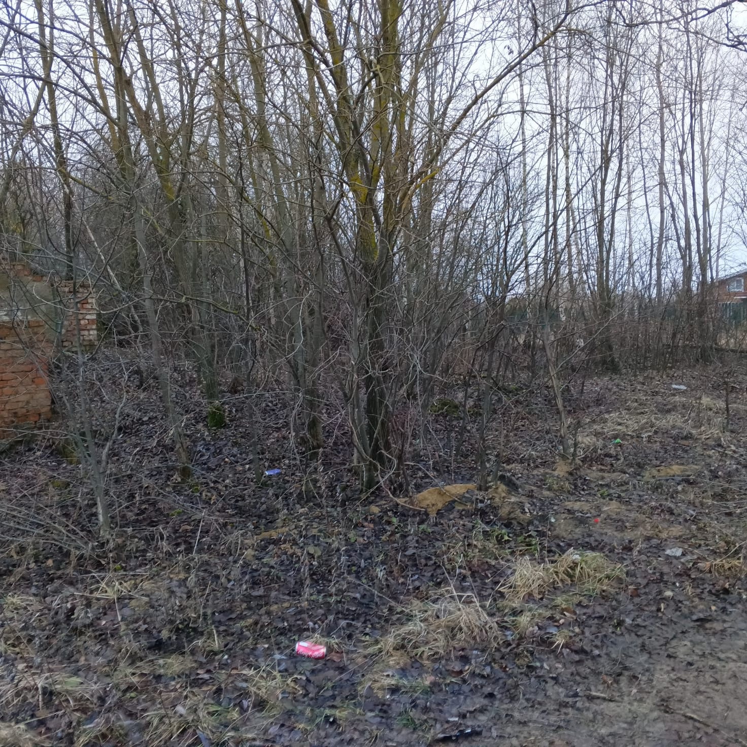 Обустройство зоны для досуга и отдыха по адресу: Веневский район, село Поветкино, ул. Центральная