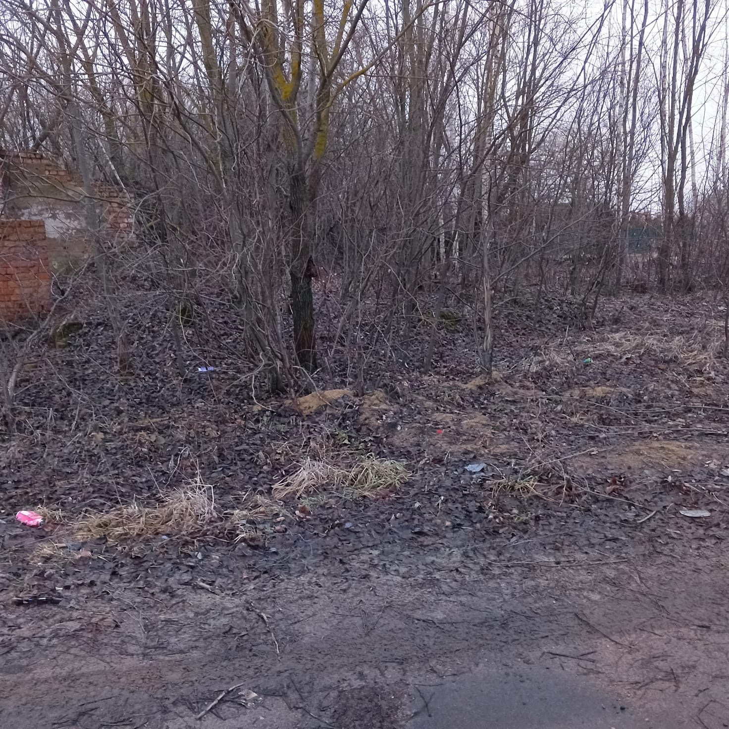 Обустройство зоны для досуга и отдыха по адресу: Веневский район, село Поветкино, ул. Центральная