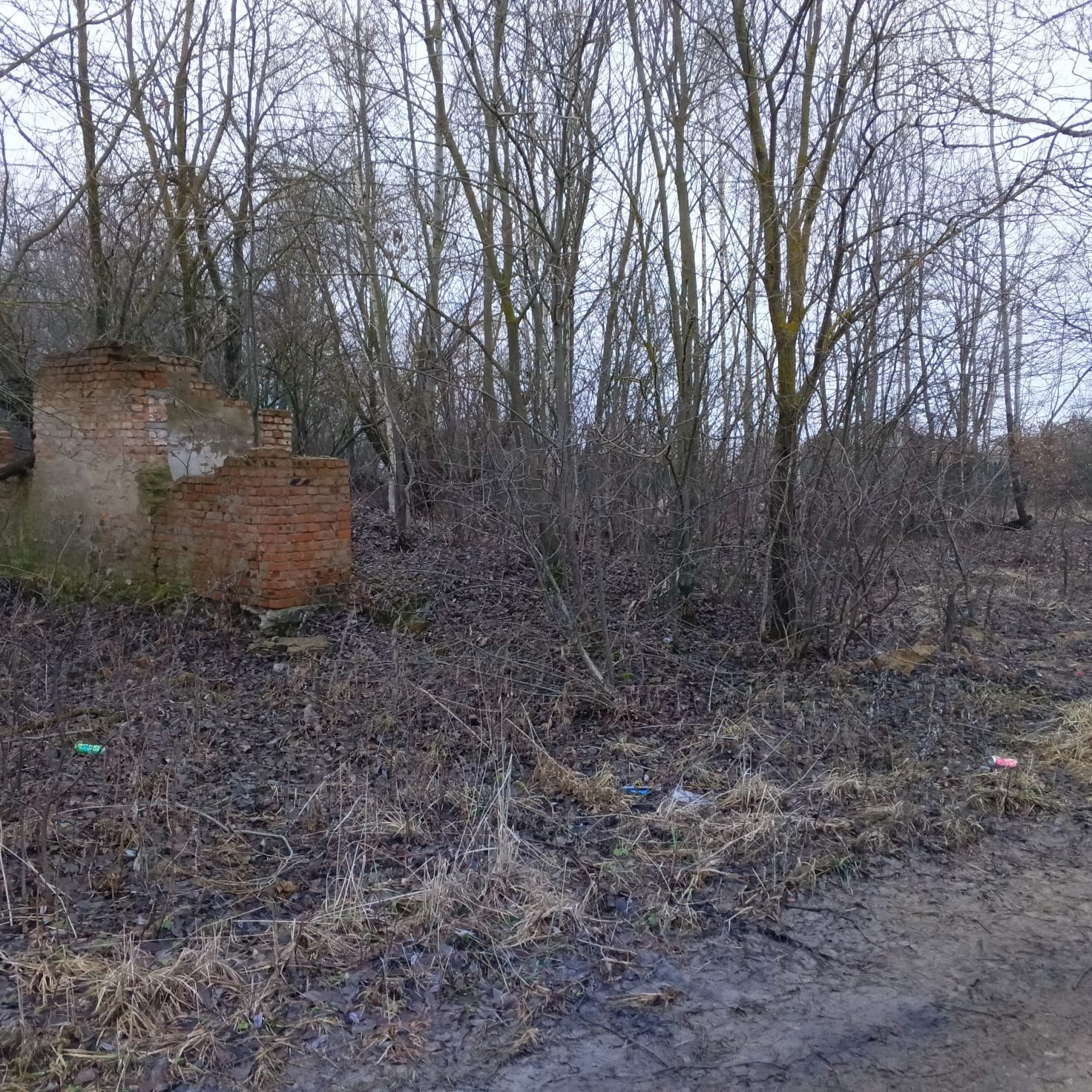 Обустройство зоны для досуга и отдыха по адресу: Веневский район, село Поветкино, ул. Центральная