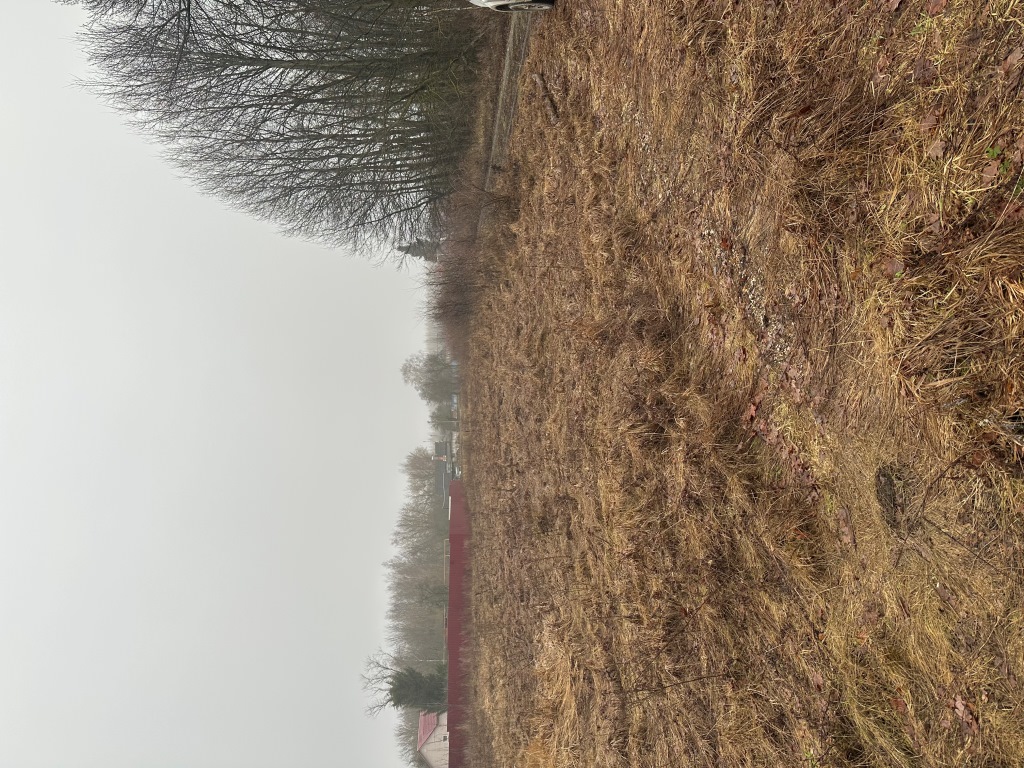 Обустройство многофункциональной площадки для игровых видов спорта по адресу: Кимовский район, д.Новоселки севернее д.16.