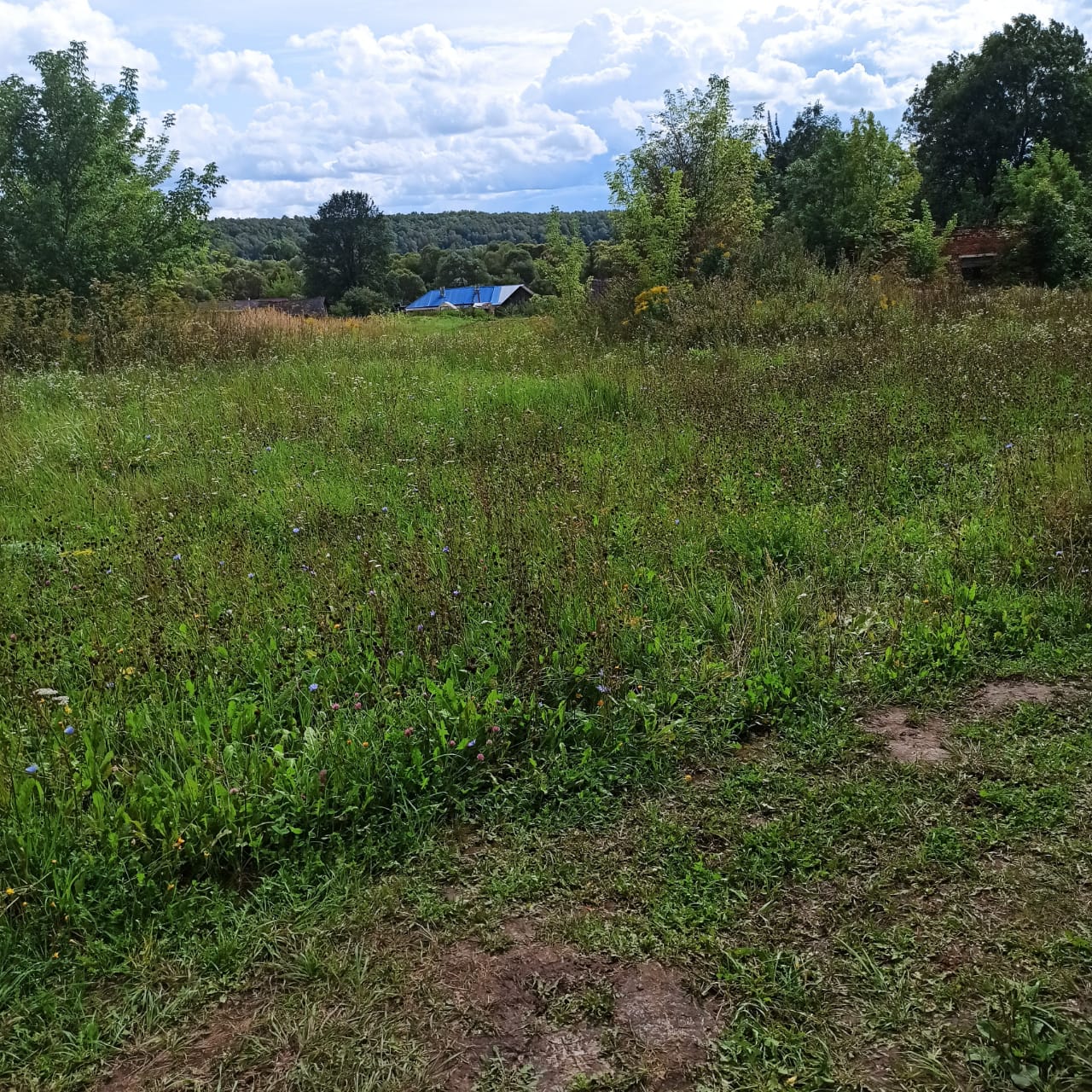 Обустройство детской игровой площадки по адресу: Чернский район, с. Бредихино 1-е, ул. Привольная, вблизи дома № 7