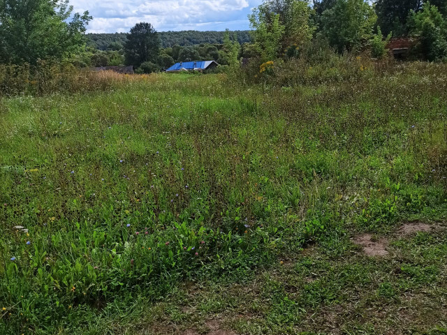 Обустройство детской игровой площадки по адресу: Чернский район, с. Бредихино 1-е, ул. Привольная, вблизи дома № 7