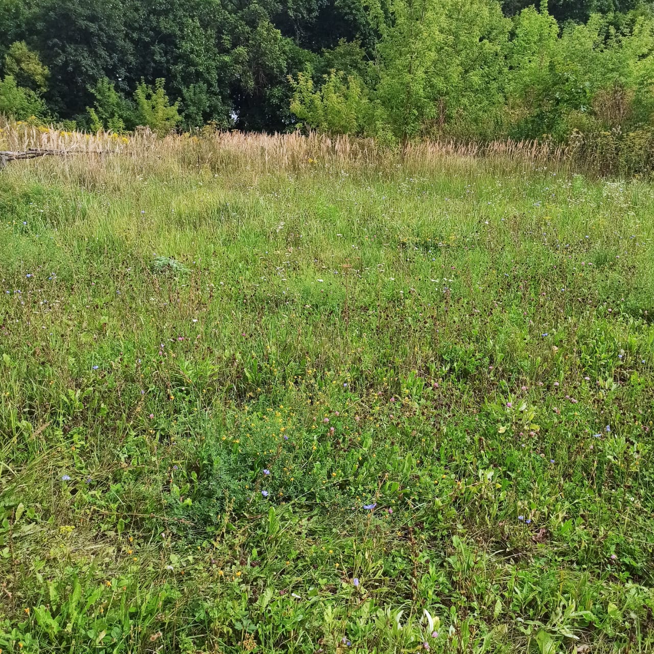 Обустройство детской игровой площадки по адресу: Чернский район, с. Бредихино 1-е, ул. Привольная, вблизи дома № 7