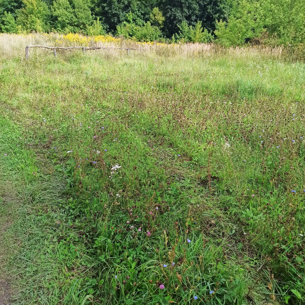 Обустройство детской игровой площадки по адресу: Чернский район, с. Бредихино 1-е, ул. Привольная, вблизи дома № 7