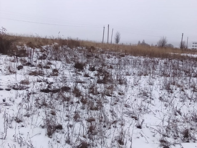 Обустройство зоны для досуга и отдыха по адресу: Алексинский район, д. Замарино, д. № 32