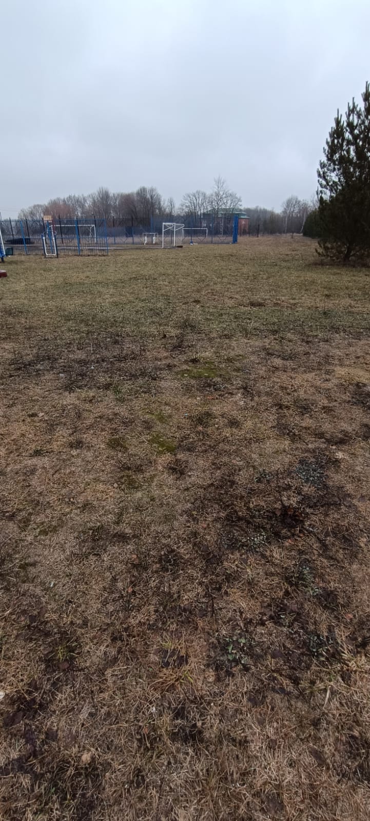 Обустройство спортивной площадки по адресу: Ясногорский район, с.Архангельское, ул.Бритикова уч.1в