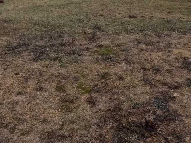 Обустройство спортивной площадки по адресу: Ясногорский район, с.Архангельское, ул.Бритикова уч.1в