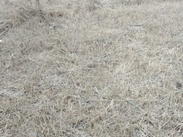 Обустройство спортивной площадки по адресу: Богородицкий район, п.Товарковский, ул. 4-ый проезд,  д.2,