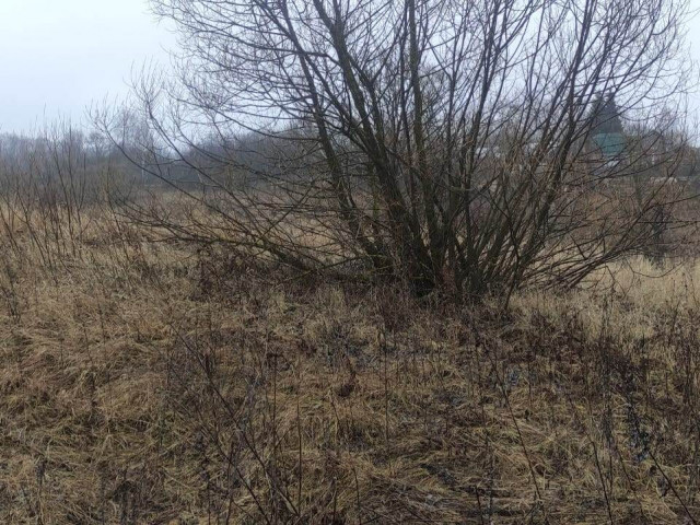 Обустройство зоны для досуга и отдыха по адресу: Киреевский район, село Долгое в районе пруда