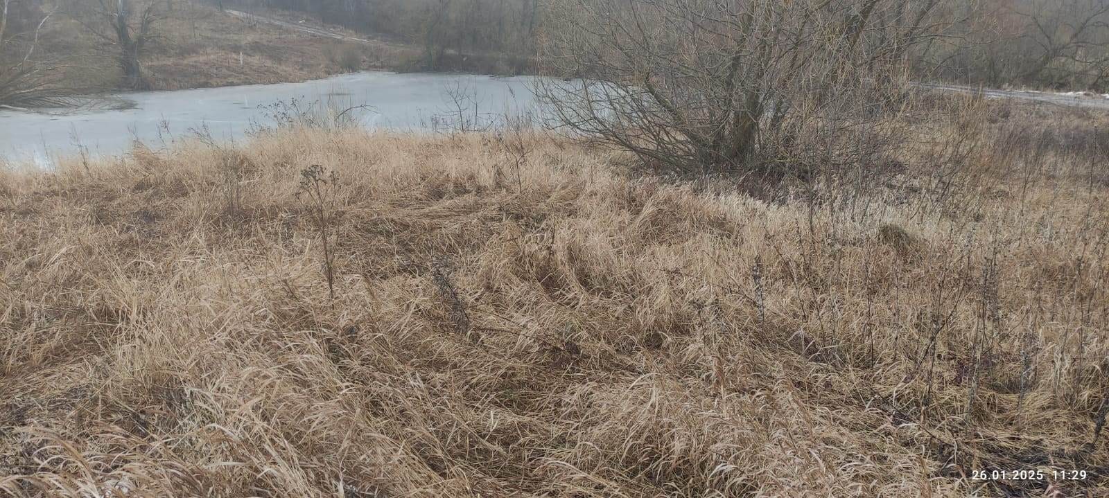 Обустройство зоны для досуга и отдыха по адресу: Киреевский район, село Долгое в районе пруда