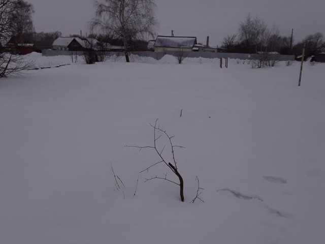 Обустройство спортивной площадки по адресу: Кимовский район, д.Кропотово, восточнее дома №36, на территории рядом с футбольным полем.