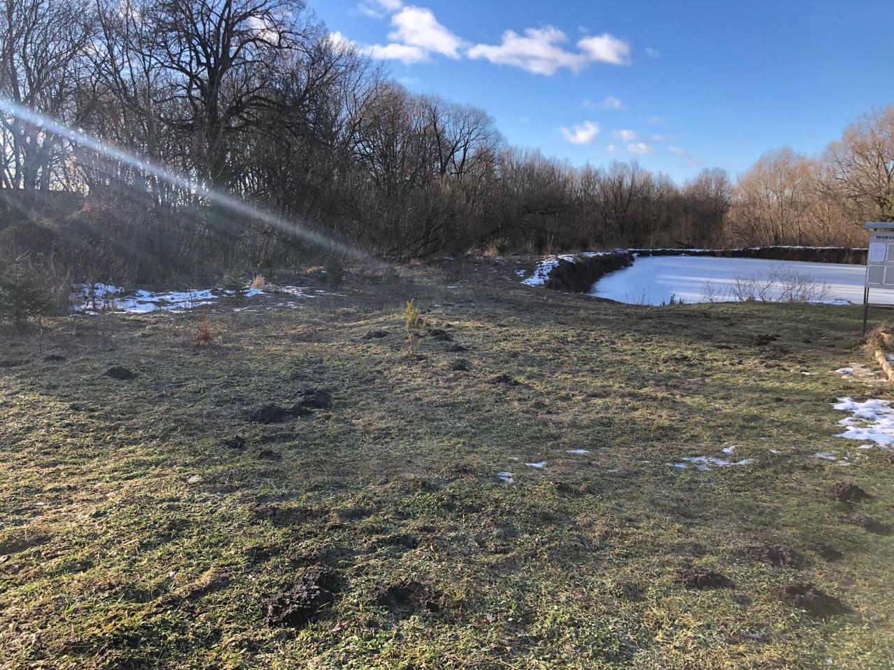 Обустройство зоны досуга и отдыха по адресу: Алексинский район, д. Лазаревка, в районе пруда и колодца